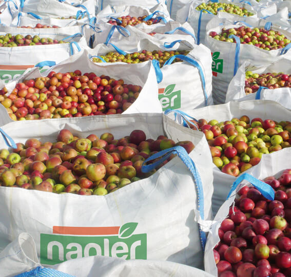 bigpacks naglerlogo 2